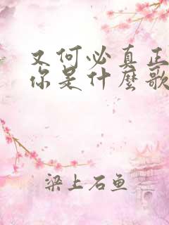 又何必真正拥有你是什么歌