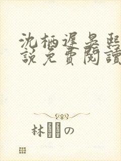 沈栖迟晏熙宁小说免费阅读最新章节