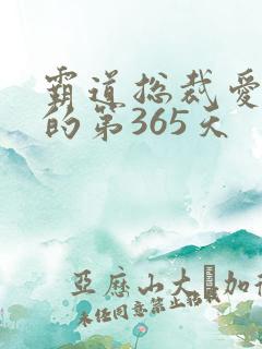 霸道总裁爱上我的第365天