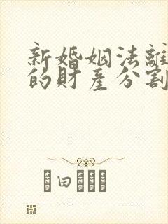 新婚姻法离婚后的财产分割