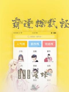 霸道总裁轻轻爱：结局+番外