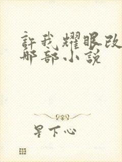 许我耀眼改编自哪部小说
