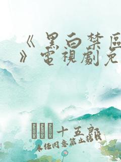 《 黑白禁区 》电视剧免费看