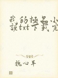 我的极品小姨小说txt下载完整版