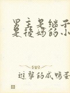 男主是继子女主是后妈的小说