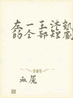 左一王沐凯主演的全部短剧