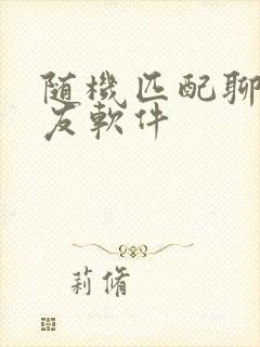 随机匹配聊天交友软件