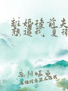 离婚后前夫总是想追我 夏微凉