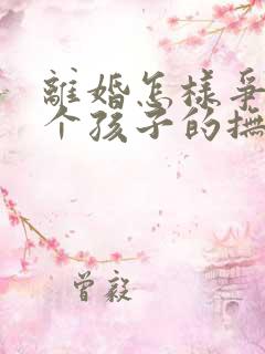 离婚怎样争夺两个孩子的抚养权