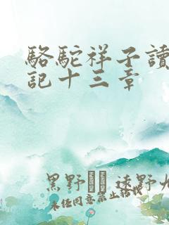 骆驼祥子读书笔记十三章