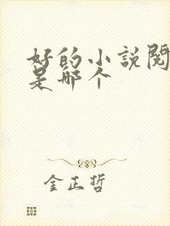 好的小说阅读器是哪个