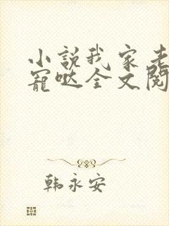 小说我家老公超宠哒全文阅读