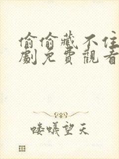 偷偷藏不住电视剧免费观看在线