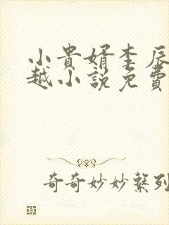 小贵婿李辰安穿越小说免费阅读