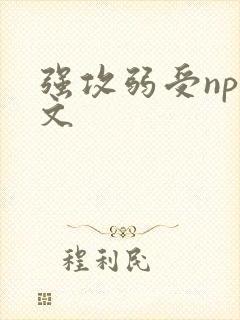强攻弱受np甜文