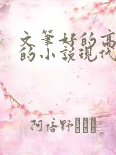 文笔好的高质量的小说现代言情推荐