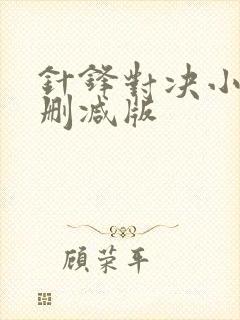 针锋对决小说未删减版