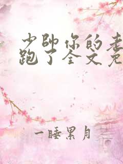 少帅你的老婆又跑了全文免费阅读