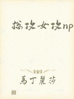 总攻女攻np