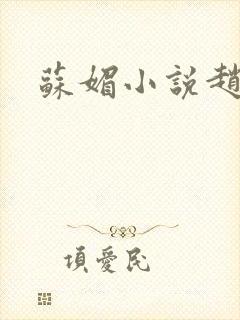 苏媚小说赵大宝