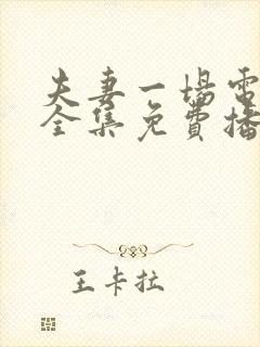 夫妻一场电视剧全集免费播放