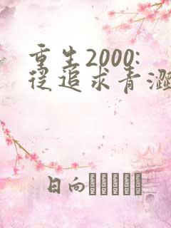 重生2000:从追求青涩校花同桌开始00