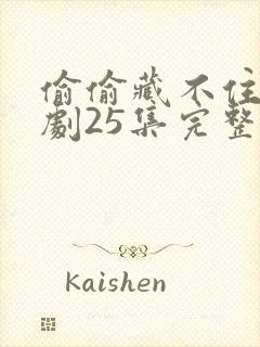 偷偷藏不住电视剧25集完整版