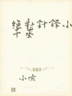 绝对针锋小说水千丞