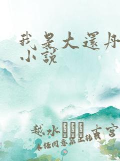 我是大还丹原著小说