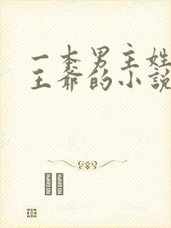 一本男主姓萧是王爷的小说