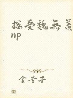 总受魏无羡双性np