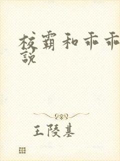 校霸和乖乖女小说