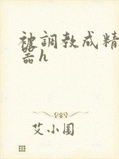 被调教成精壶便器h