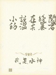 小说在线阅读我的温柔暴君