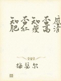 知否知否应是绿肥红瘦高清全集