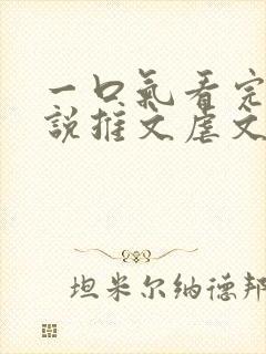 一口气看完的小说推文虐文