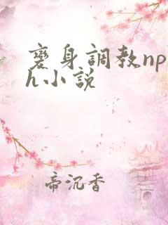 变身调教np高h小说