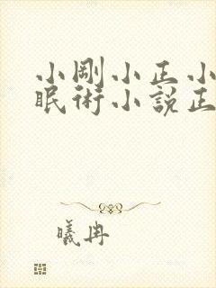 小刚小正小柔催眠术小说正版阅读