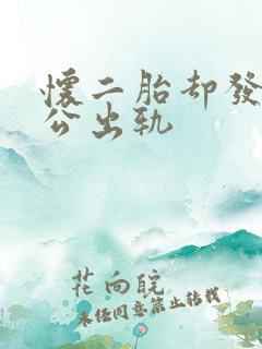 怀二胎却发现老公出轨