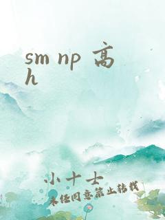 sm np 高h