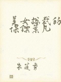 美女总裁的贴身保镖叶凡