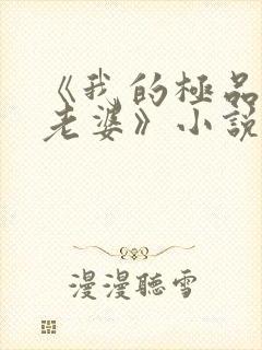 《我的极品美女老婆》小说