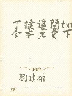 丁捷追问txt全本免费下载
