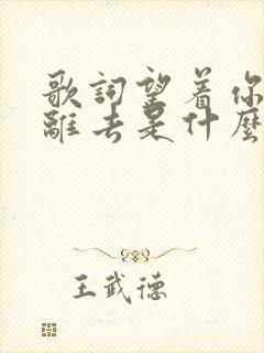 歌词望着你孤单离去是什么歌