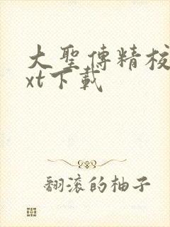 大圣传精校版txt下载