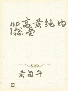np高黄纯肉bl总受