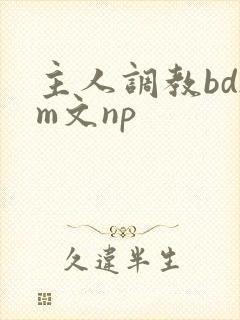 主人调教bdsm文np