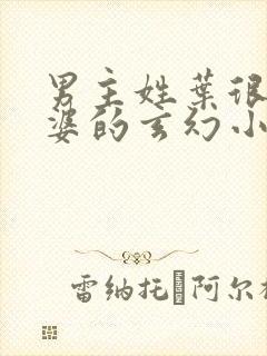 男主姓叶很多老婆的玄幻小说