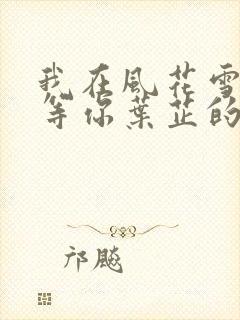 我在风花雪月里等你叶芷的孩子