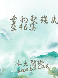雪豹坚强岁月1至46集